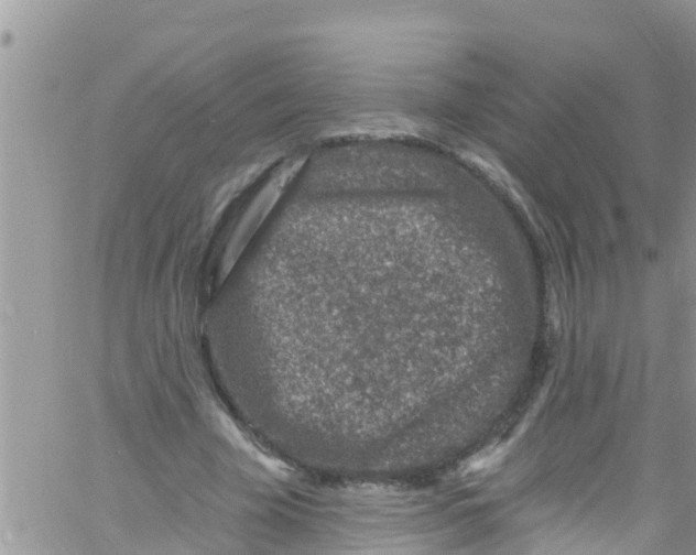 X0000061150585200512092001