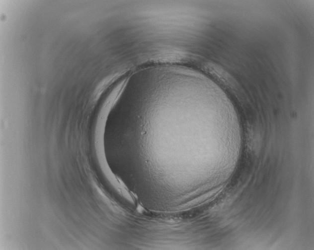 X0000061150586200512092001