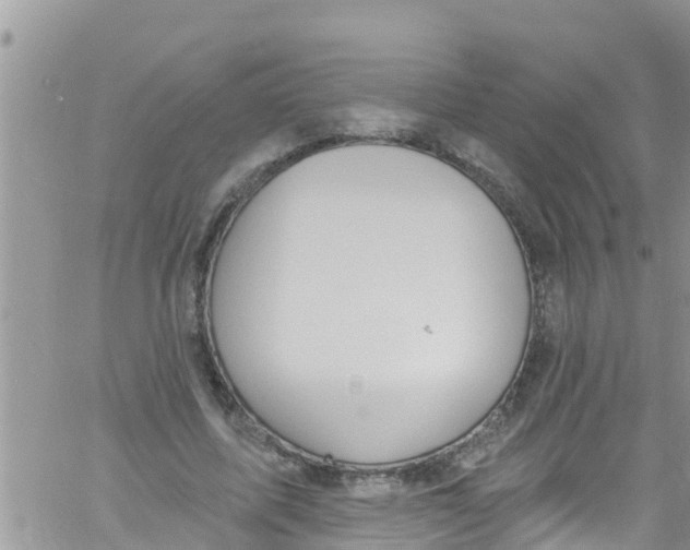 X0000061150587200512092001