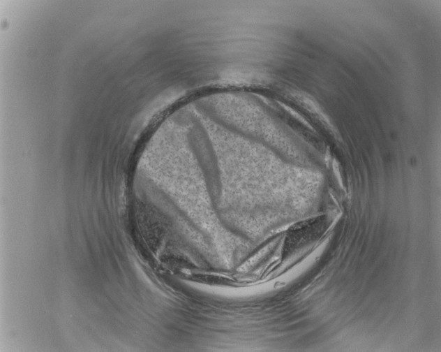 X0000061150588200512092001