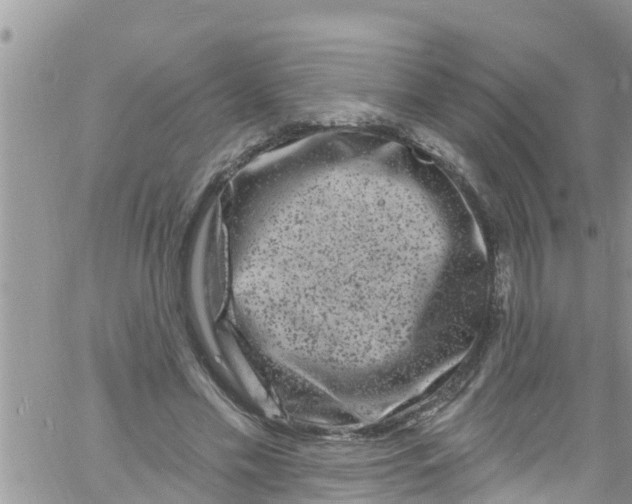 X0000061150589200512092001