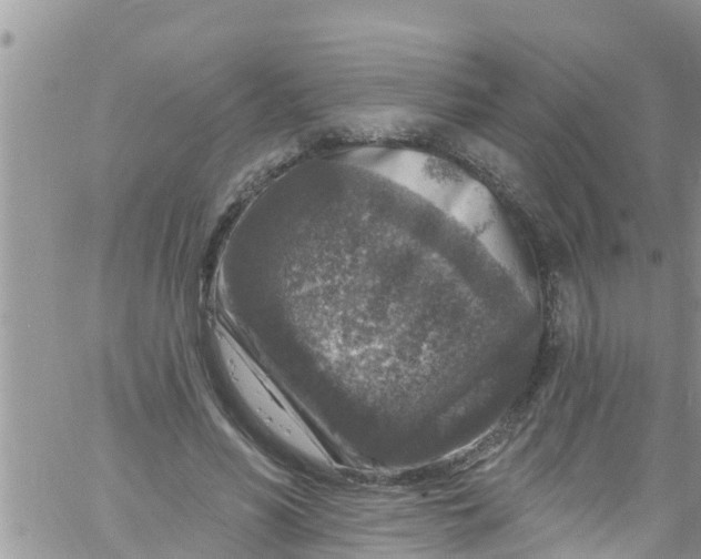 X0000061150590200512092001