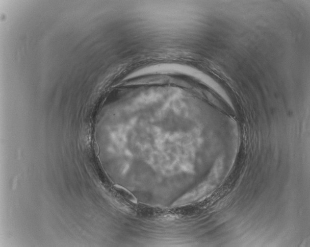 X0000061150593200512092001