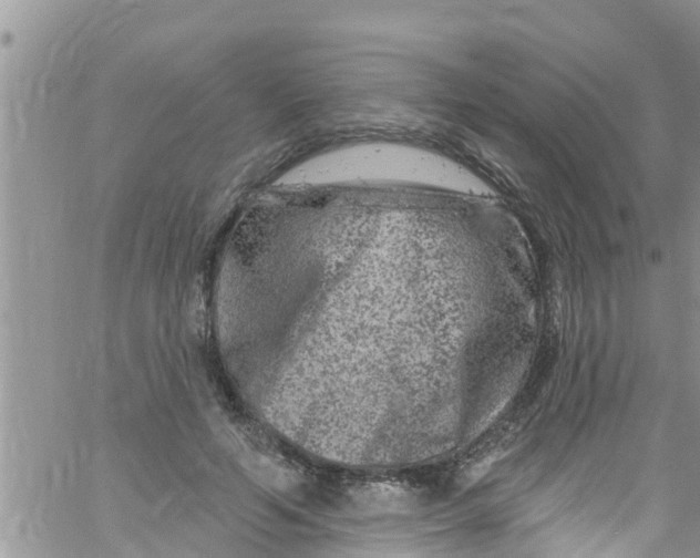 X0000061150594200512092001