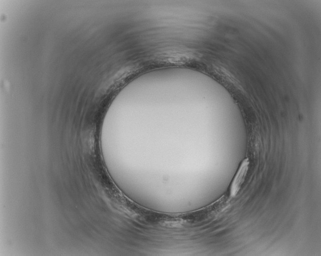 X0000061150595200512092001