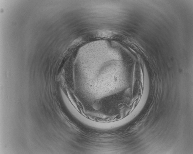 X0000061150597200512092001