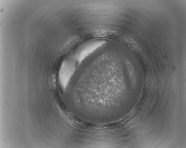 X0000061150598200512092001