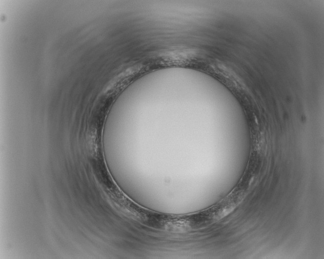 X0000061150599200512092001