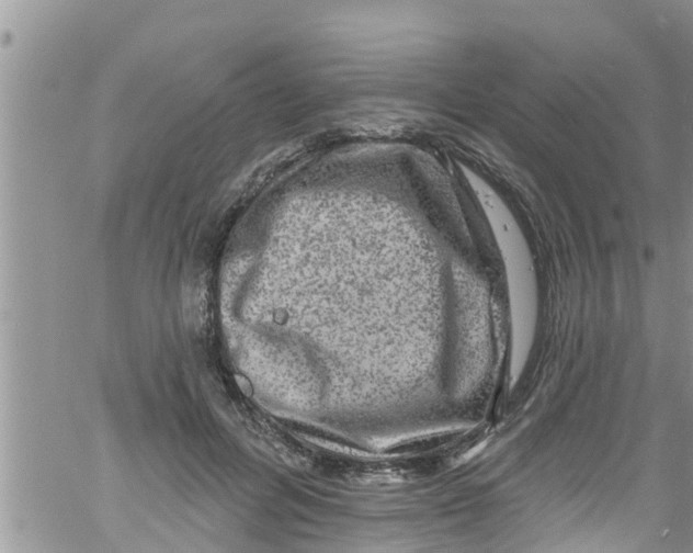 X0000061150600200512092001