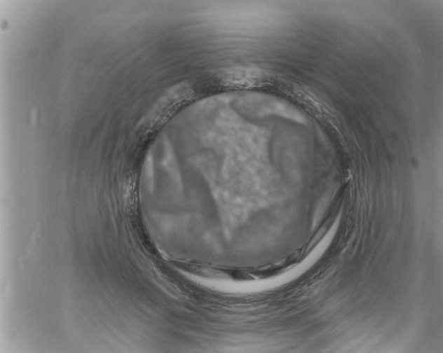 X0000061150601200512092001