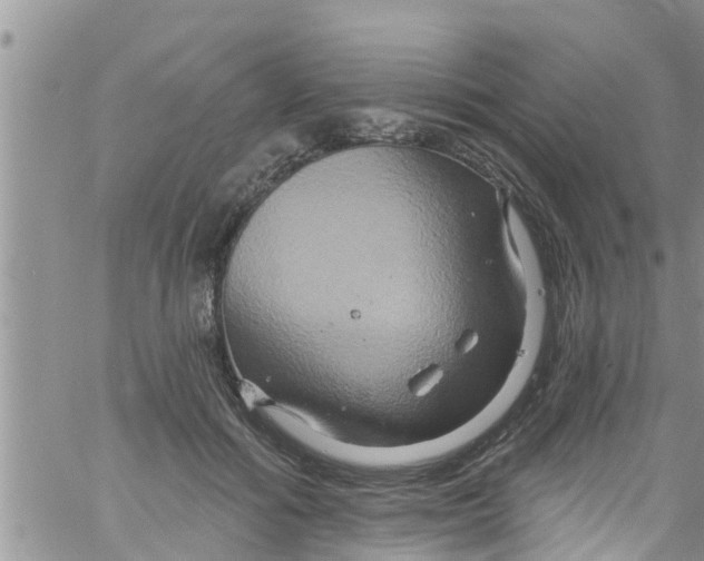 X0000061150602200512092001