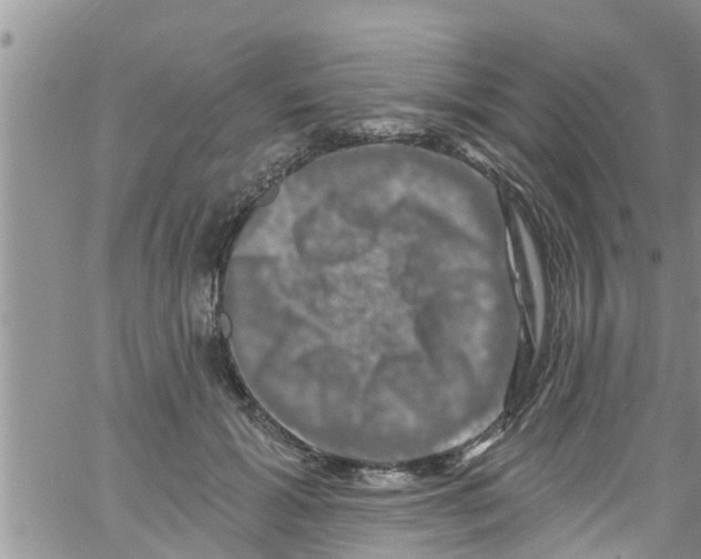 X0000061150605200512092001