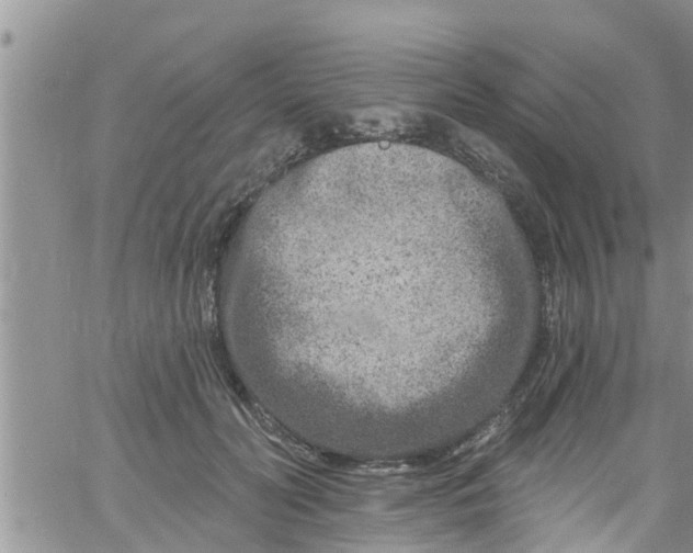 X0000061150606200512092001