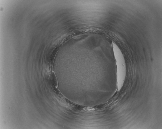 X0000061150607200512092001