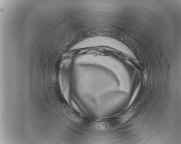 X0000061150608200512092001