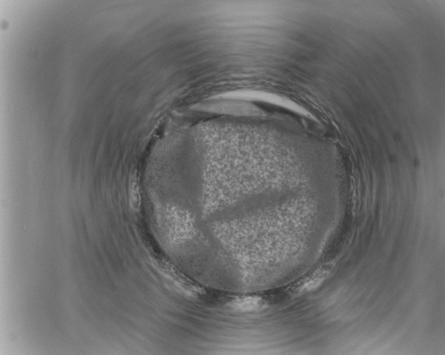 X0000061150609200512092001