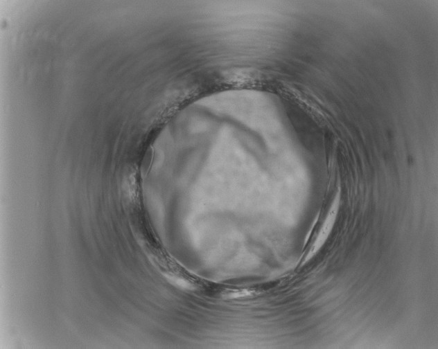 X0000061150611200512092001