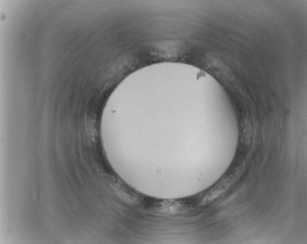 X0000061150612200512092001