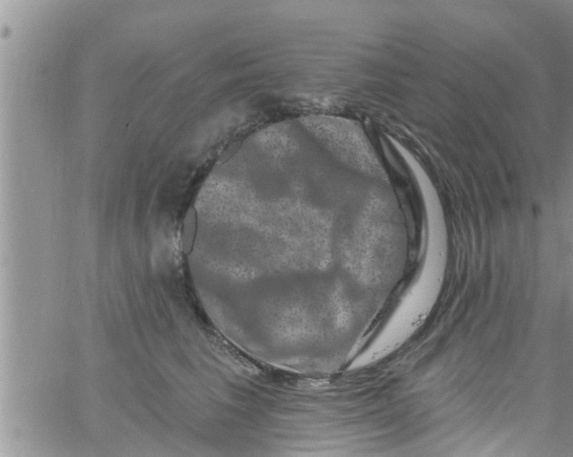 X0000061150613200512092001