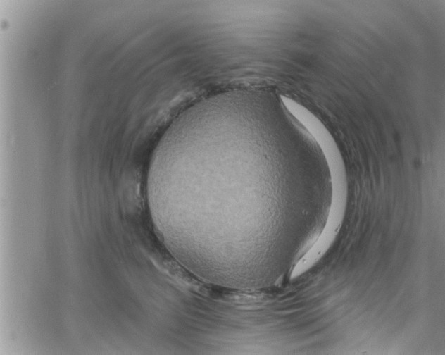 X0000061150615200512092001