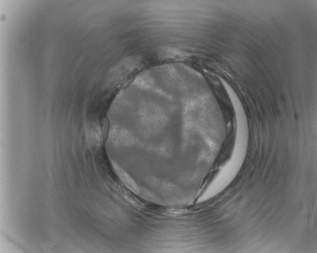 X0000061150617200512092001