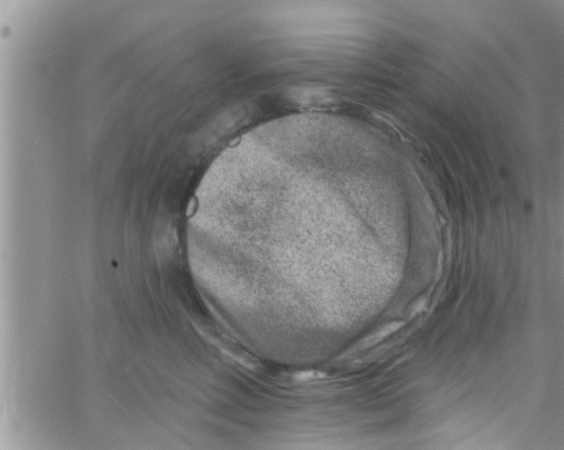 X0000061150618200512092001