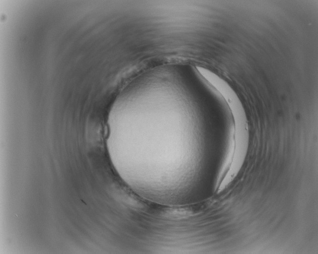 X0000061150619200512092001