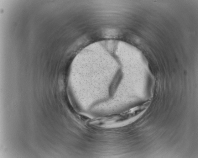 X0000061150620200512092001