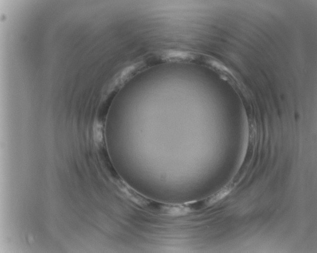 X0000061150621200512092001