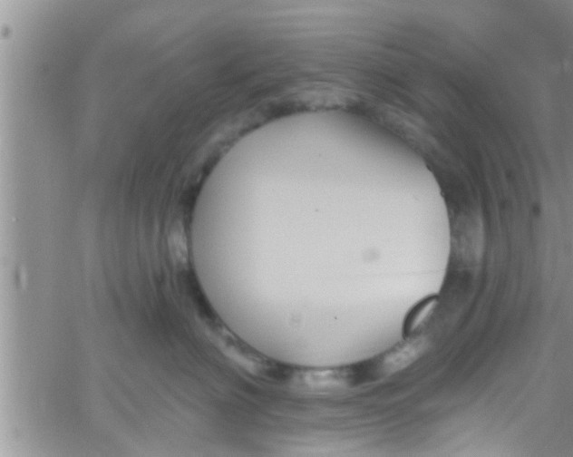 X0000061150622200512092001