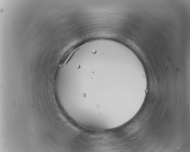 X0000061150625200512092000