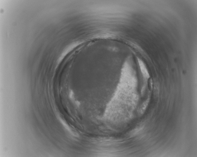 X0000061150626200512092000