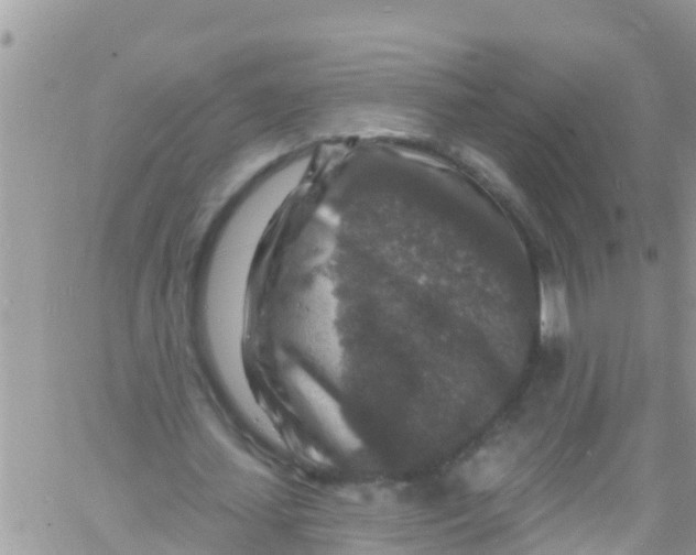 X0000061150627200512092000