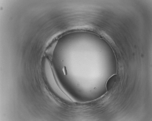 X0000061150628200512092000