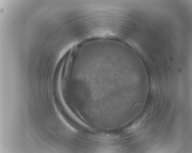 X0000061150630200512092000