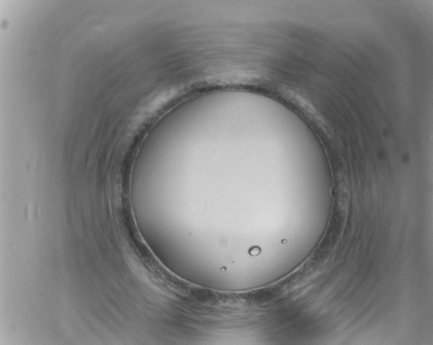 X0000061150631200512092000