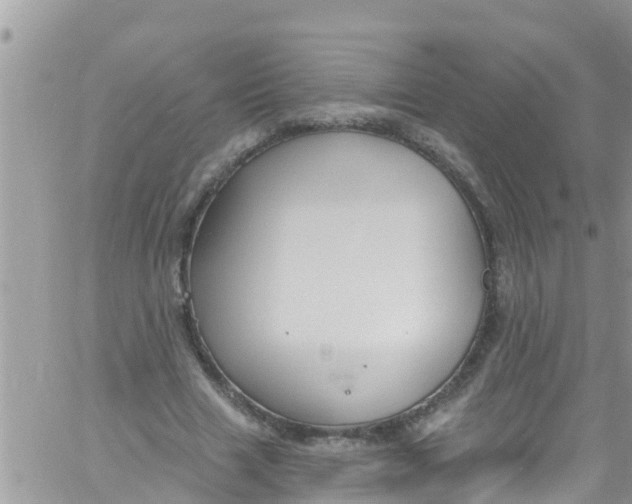 X0000061150633200512092000