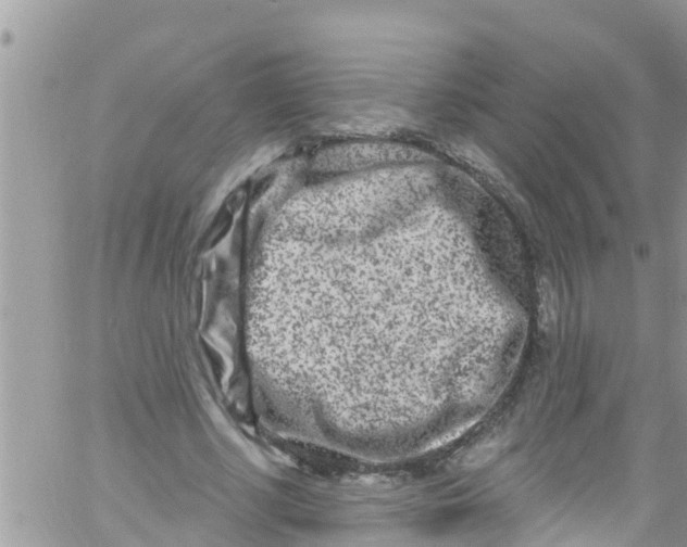 X0000061150634200512092000