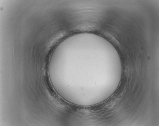 X0000061150635200512092000