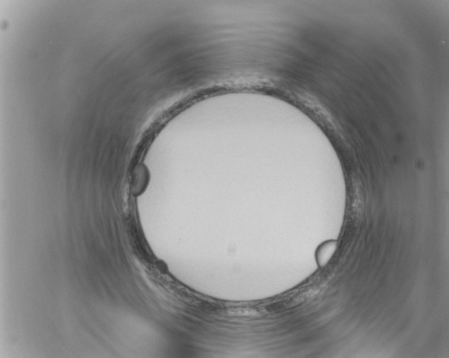 X0000061150636200512092000