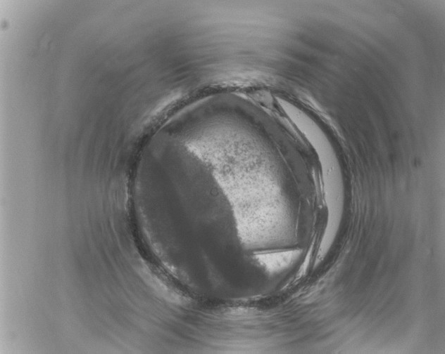 X0000061150637200512092000