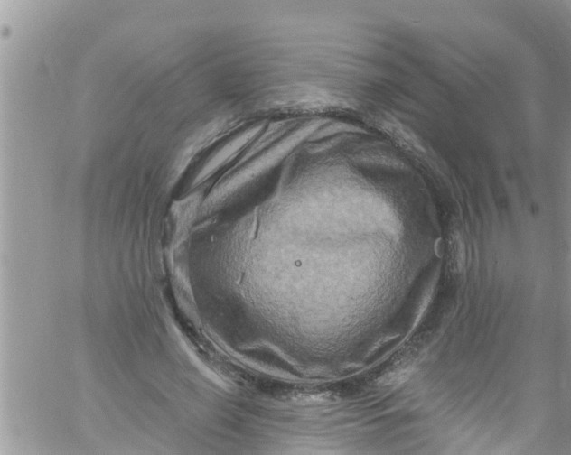 X0000061150638200512092000