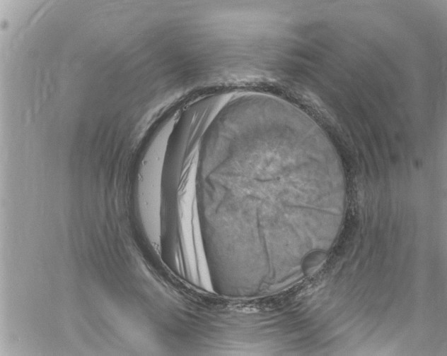 X0000061150640200512092000