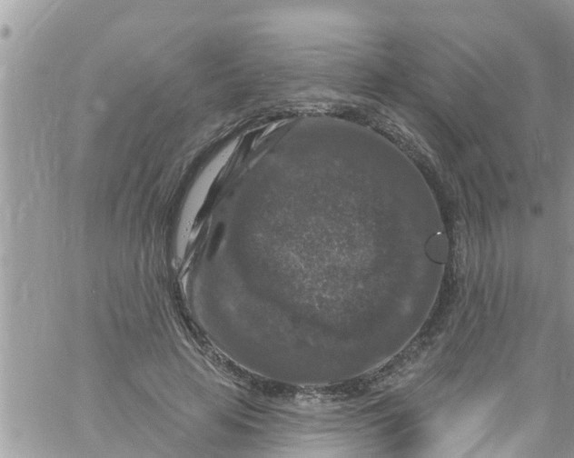 X0000061150641200512092000