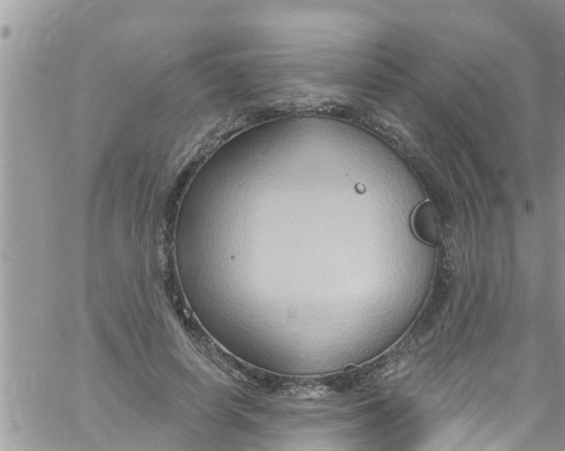 X0000061150642200512092000