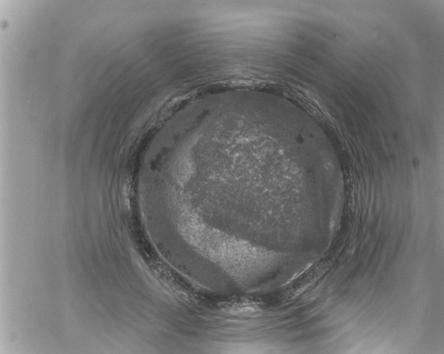 X0000061150643200512092000