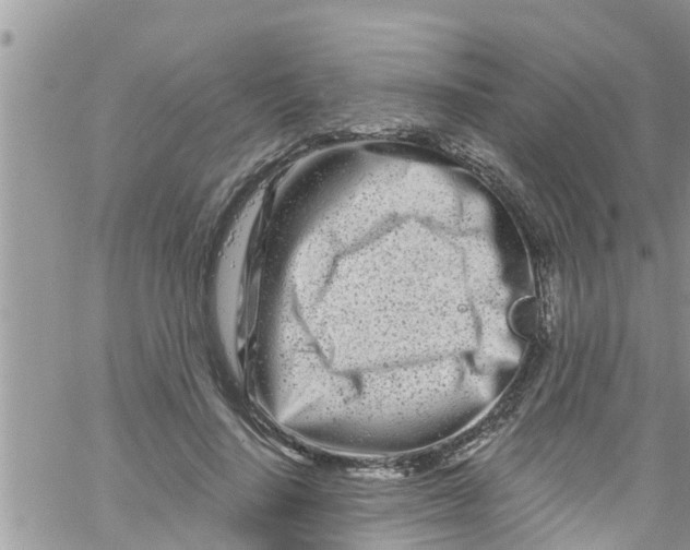 X0000061150644200512092000