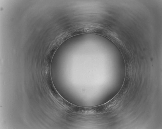 X0000061150645200512092000