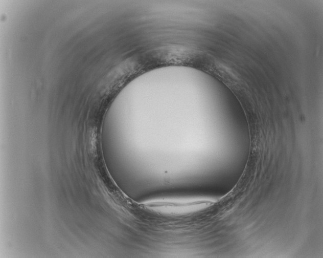 X0000061150646200512092000