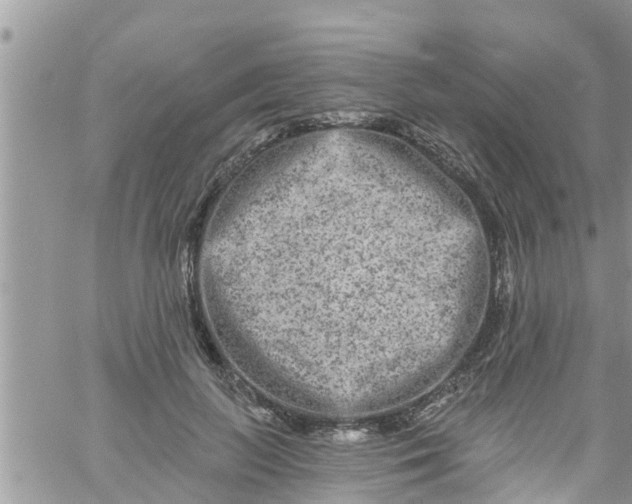 X0000061150647200512092000